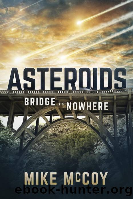 ASTEROIDS-Bridge to Nowhere by Mike McCoy