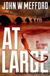 AT Large by John W. Mefford