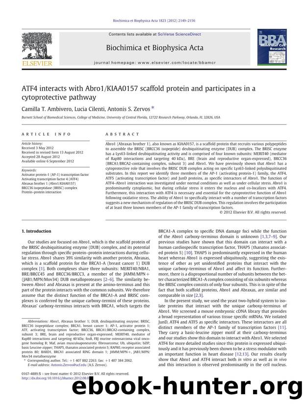ATF4 interacts with Abro1KIAA0157 scaffold protein and participates in a cytoprotective pathway by Camilla T. Ambivero & Lucia Cilenti & Antonis S. Zervos