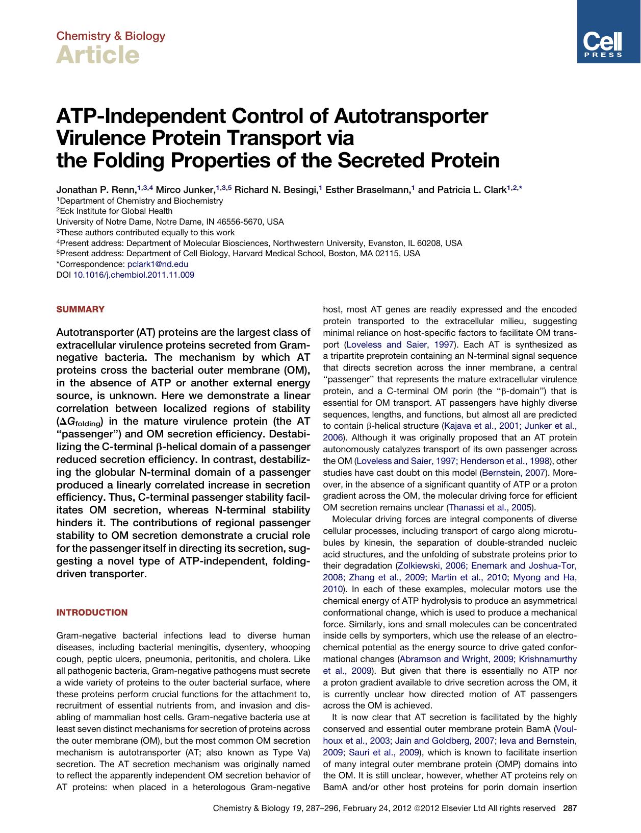 ATP-Independent Control of Autotransporter Virulence Protein Transport via the Folding Properties of the Secreted Protein by Jonathan P. Renn & Mirco Junker & Richard N. Besingi & Esther Braselmann & Patricia L. Clark