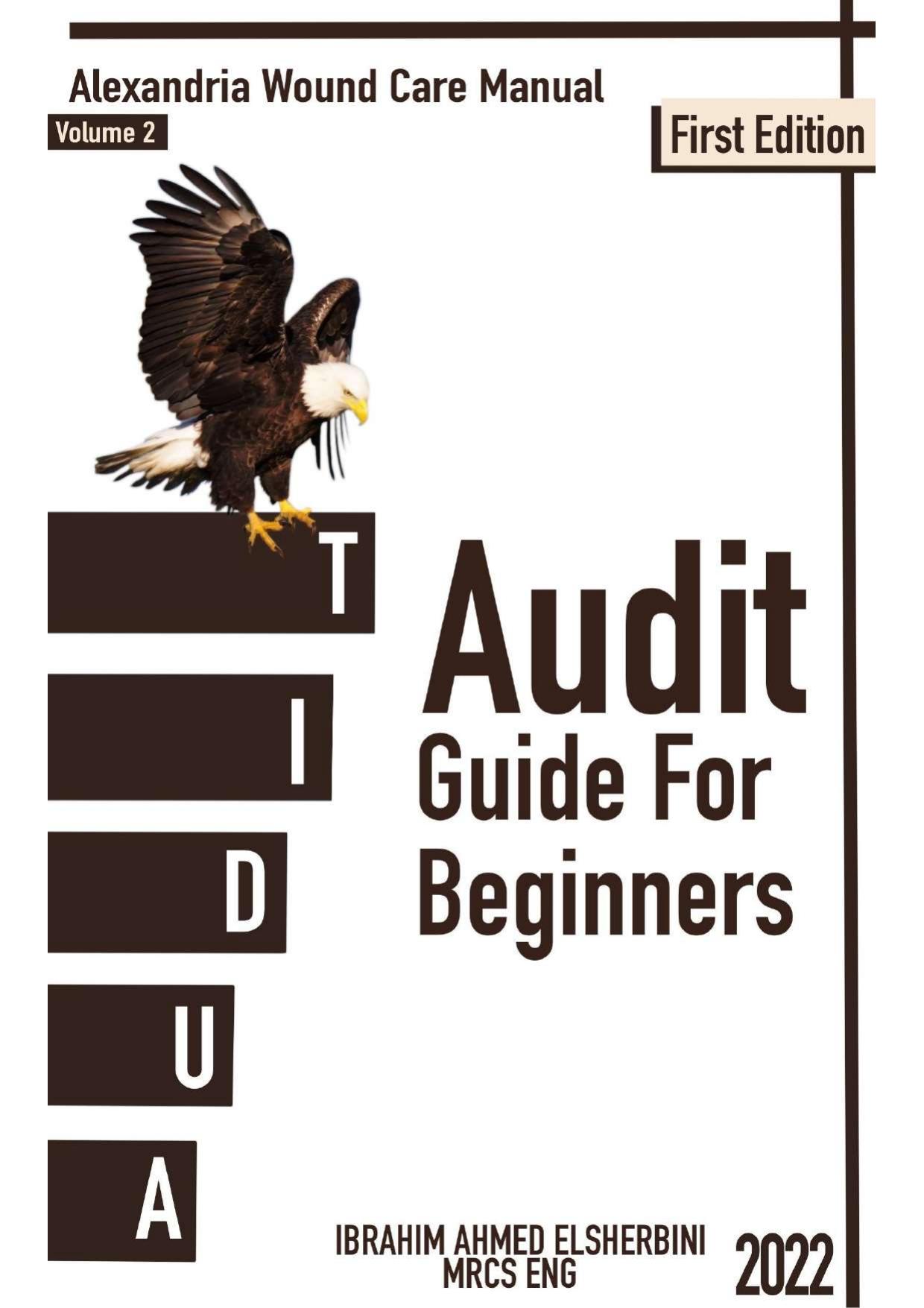 AUDIT GUIDE FOR BEGINNERS ( MEDICAL AUDIT ) by IBRAHIM AHMED MUHAMMED ELSHERBINI