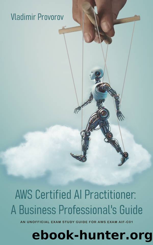 AWS Certified AI Practitioner: A Business Professional's Guide by Provorov Vladimir