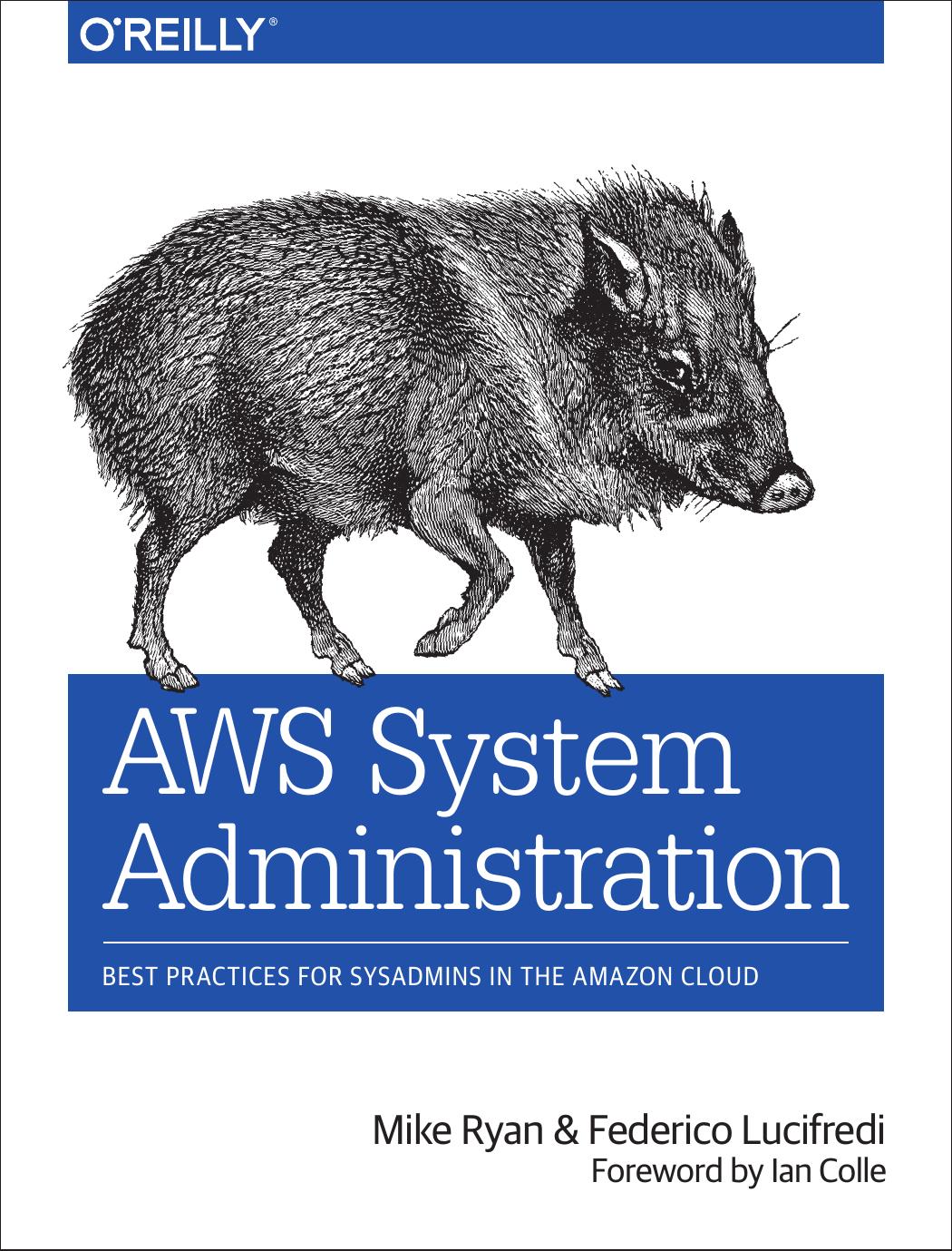 AWS System Administration by Mike Ryan and Federico Lucifredi