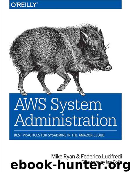 AWS System Administration: Best Practices for Sysadmins in the Amazon Cloud by Mike Ryan & Federico Lucifredi