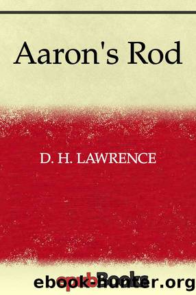Aaron's Rod by Lawerence D. H