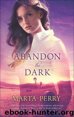 Abandon the Dark by Marta Perry
