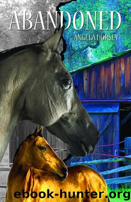 Abandoned by Angela Dorsey