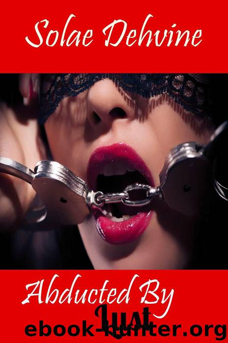Abducted By Lust: Part 1: An Erotica Romance by Solae Dehvine