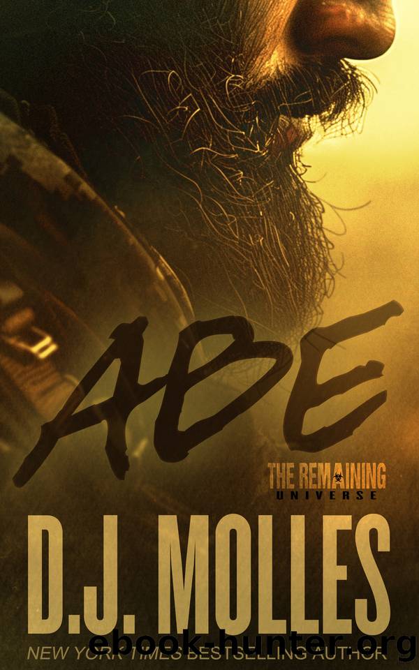 Abe: A Remaining Universe Novel by D.J. Molles