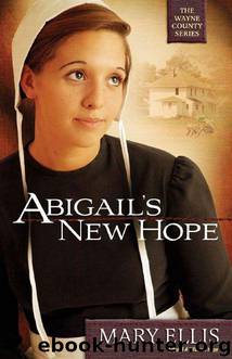 Abigail's New Hope (The Wayne County Series) by Ellis Mary