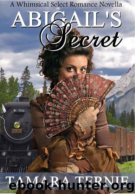 Abigail's Secret (A Whimsical Select Romance Novella) by Ternie Tamara