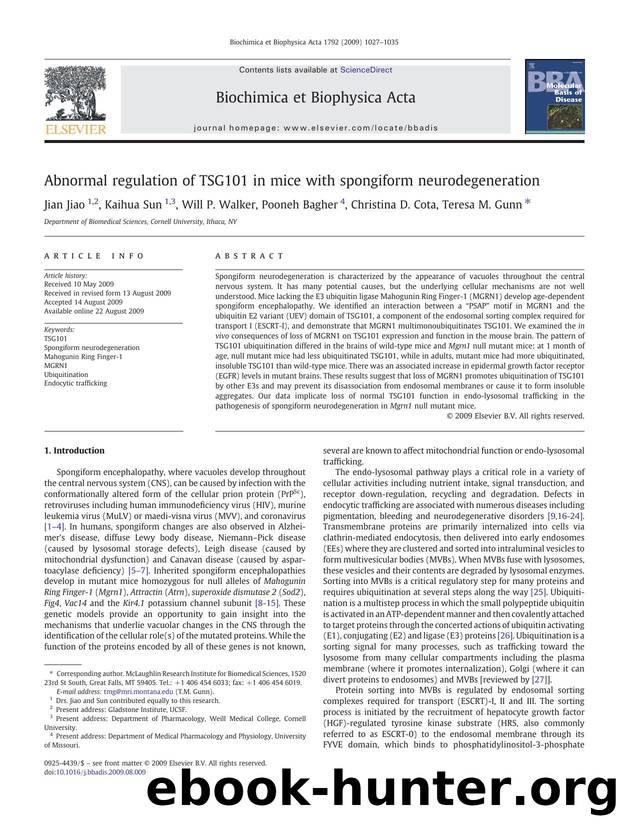 Abnormal regulation of TSG101 in mice with spongiform neurodegeneration by Jian Jiao; Kaihua Sun; Will P. Walker; Pooneh Bagher; Christina D. Cota; Teresa M. Gunn