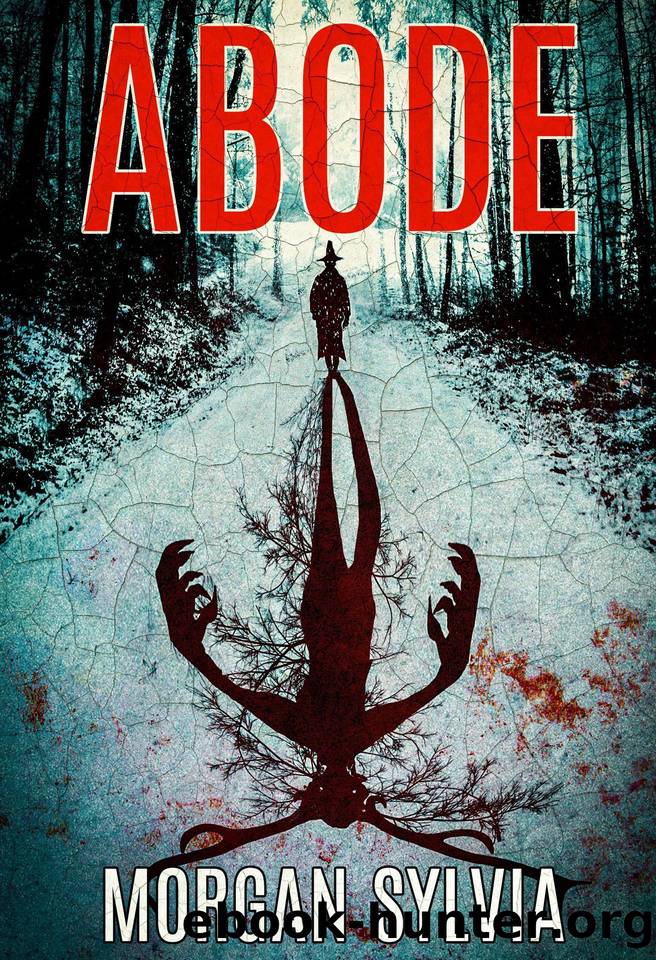 Abode by Sylvia Morgan