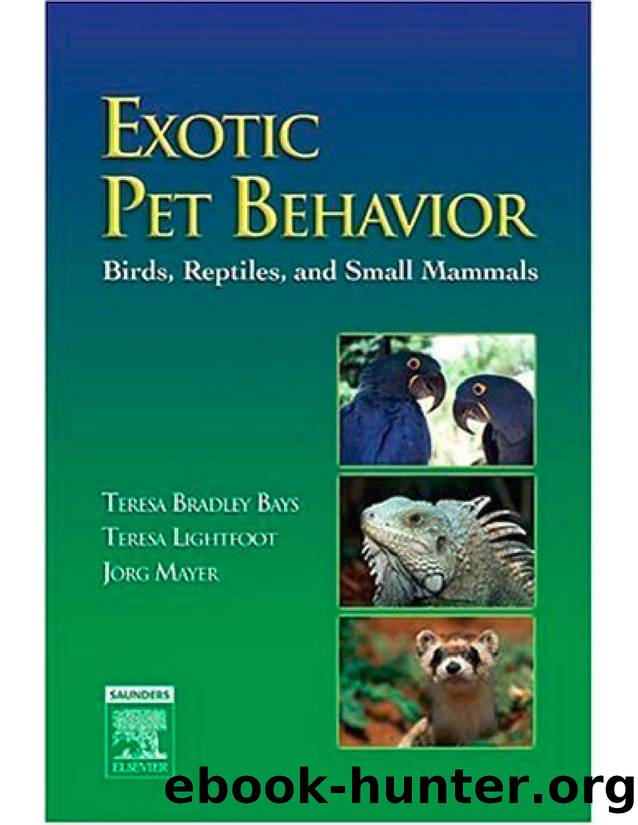 About the Authors by Exotic Pet Behavior