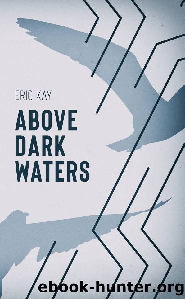Above Dark Waters by Eric Kay