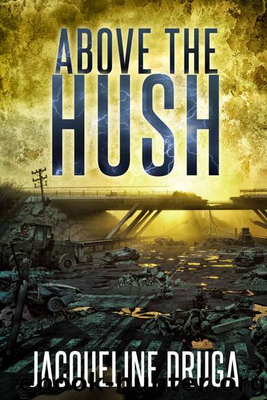 Above the Hush by Jacqueline Druga