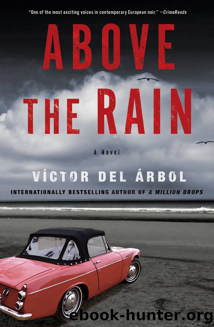 Above the Rain: A Novel by Víctor Del Árbol