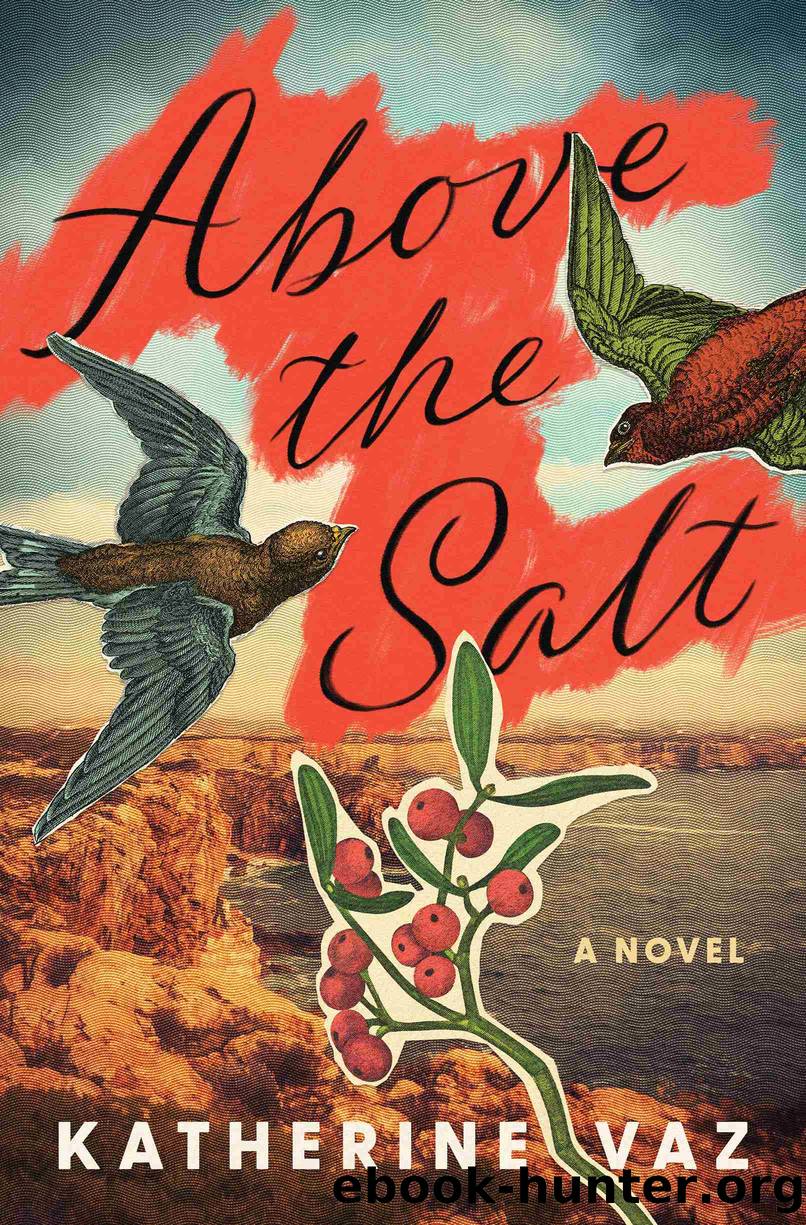 Above the Salt by Katherine Vaz