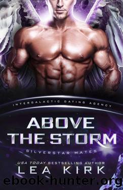 Above the Storm by Lea Kirk