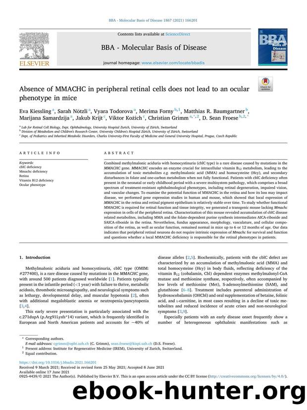 Absence of MMACHC in peripheral retinal cells does not lead to an ocular phenotype in mice by unknow