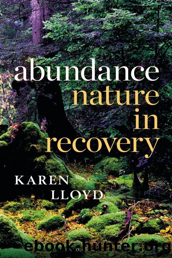 Abundance by Karen Lloyd