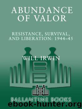 Abundance of Valor by Will Irwin