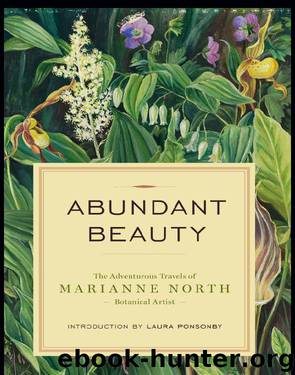Abundant Beauty by Marianne North