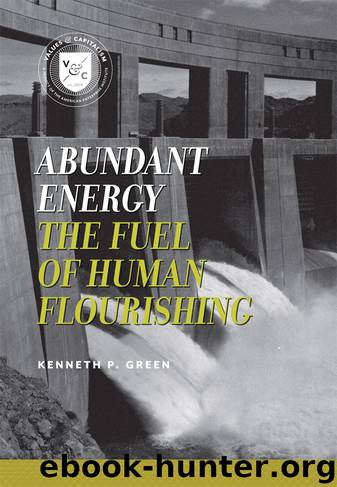 Abundant Energy by Kenneth P. Green