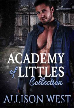 Academy of Littles by Allison West