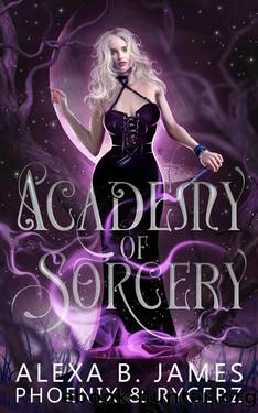 Academy of Sorcery: The Complete Series by unknow