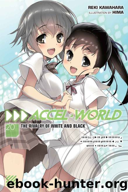 Accel World, Vol. 20 (light novel) by Reki Kawahara