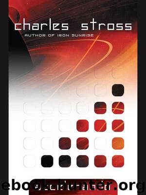 Accelerando (Singularity Book 3) by Charles Stross