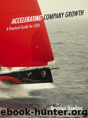 Accelerating Company Growth by Brendan Dowling