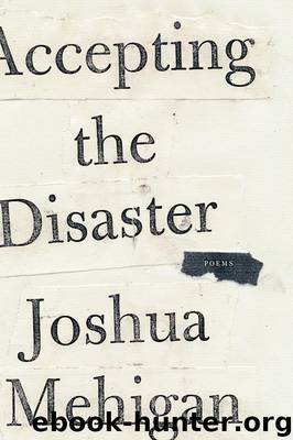 Accepting the Disaster by Joshua Mehigan