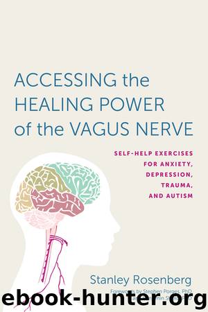 Accessing the Healing Power of the Vagus Nerve by Stanley Rosenberg