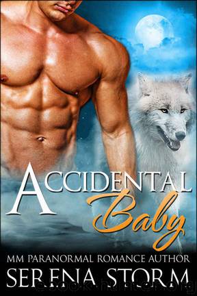 Accidental Baby by Serena Storm