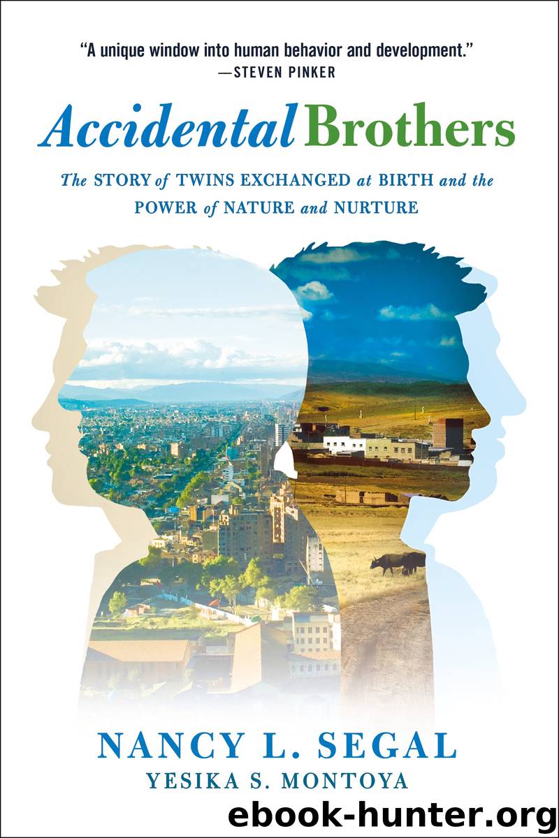 Accidental Brothers by Dr. Nancy L. Segal