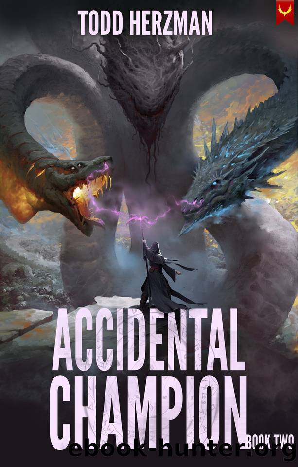 Accidental Champion 2: A LitRPG Adventure by Todd Herzman
