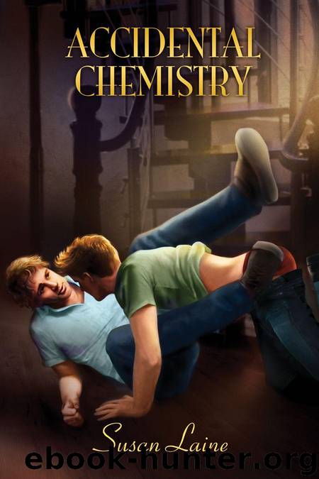 Accidental Chemistry (Second Chances) by Laine Susan