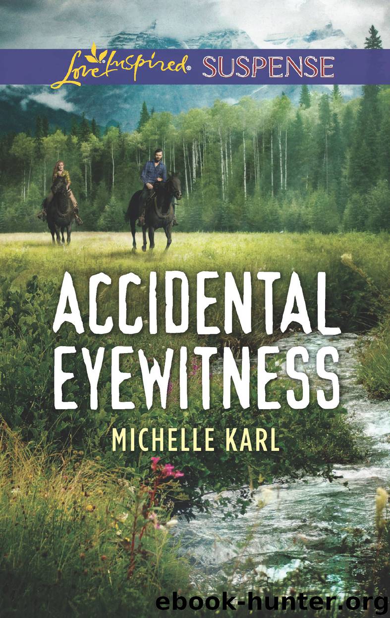 Accidental Eyewitness by Michelle Karl