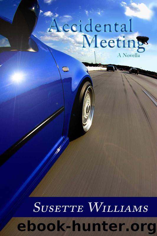 Accidental Meeting by Susette Williams