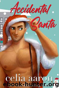 Accidental Santa by Celia Aaron