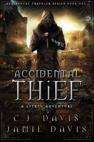 Accidental Thief: A LitRPG Accidental Traveler Adventure by Jamie Davis