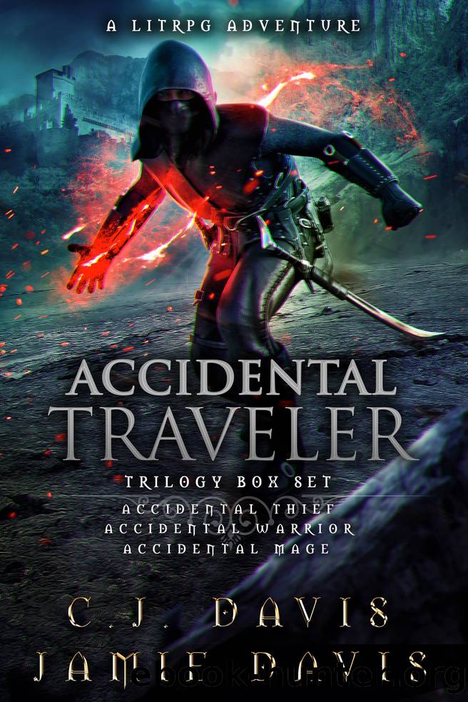 Accidental Traveler Box Set Volumes 1-3 by Jamie Davis & C.J. Davis