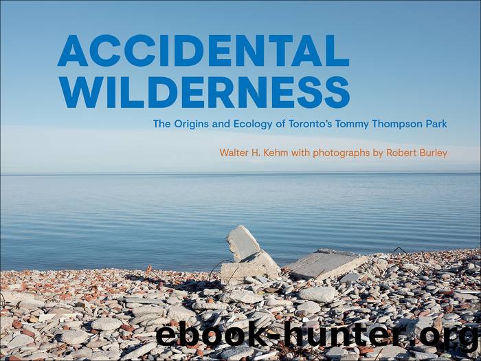 Accidental Wilderness by Walter H. Kehm