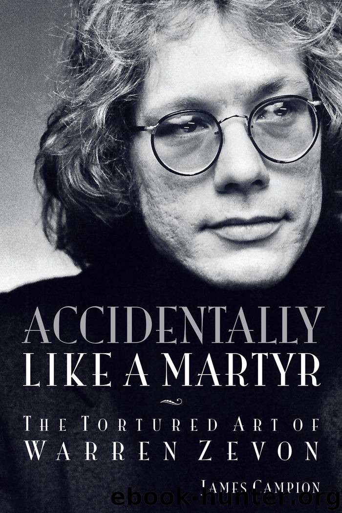 Accidentally Like a Martyr by James Campion