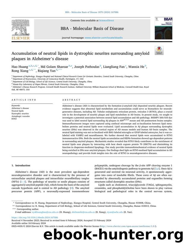 Accumulation of neutral lipids in dystrophic neurites surrounding amyloid plaques in Alzheimer's disease by unknow