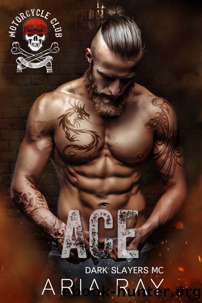 Ace (Dark Slayers MC Book 15) by Aria Ray