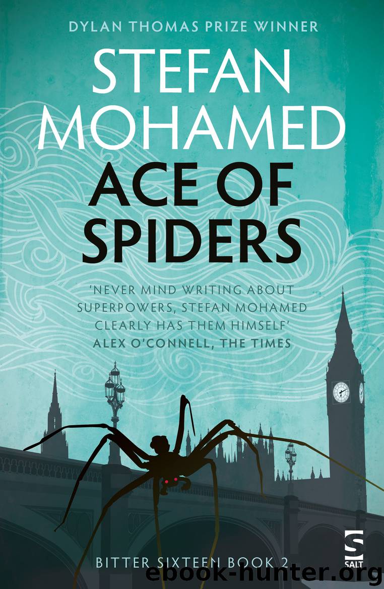 Ace of Spiders by Stefan Mohamed