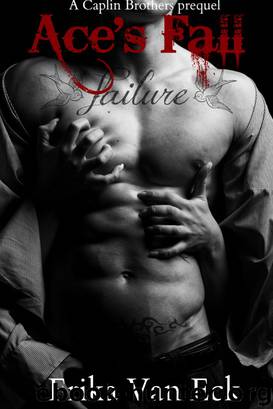 Ace's Fall by Erika Van Eck